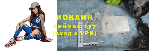 гашик Медногорск