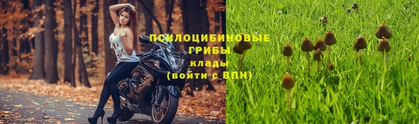 марки lsd Михайлов